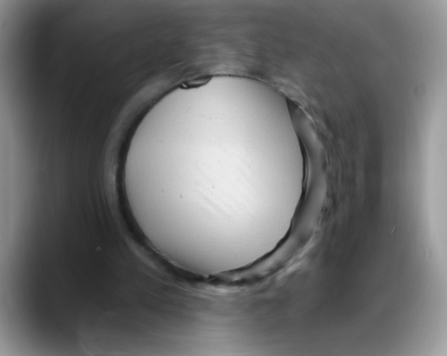 X0000088060197200706081656