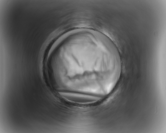 X0000088060199200706081656