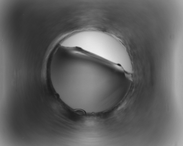 X0000088060200200706081656