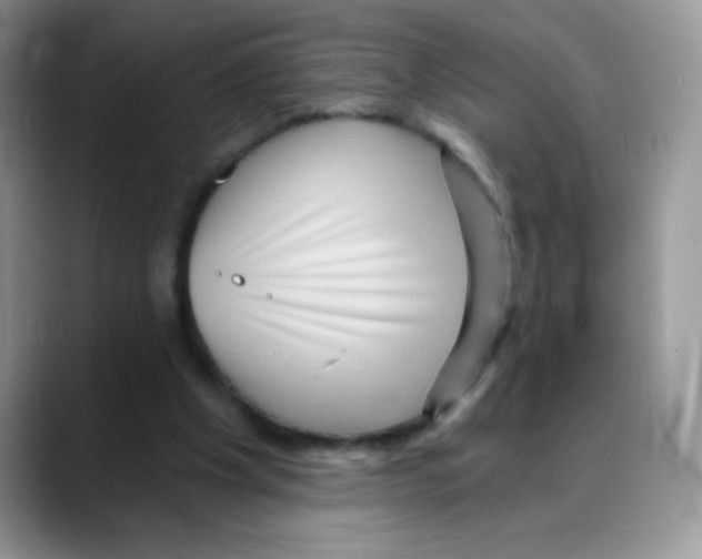 X0000088060201200706081656
