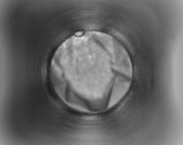 X0000088060202200706081656