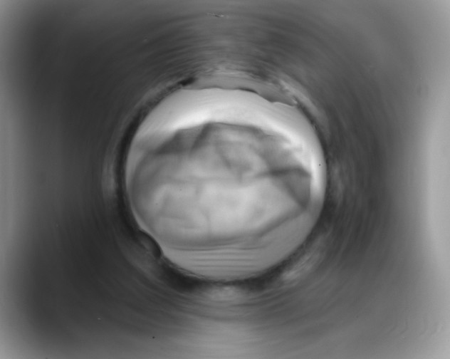 X0000088060203200706081656
