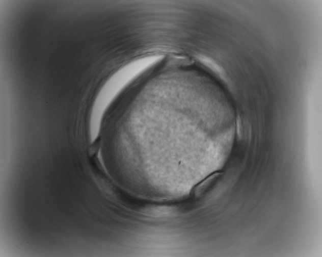 X0000088060205200706081656