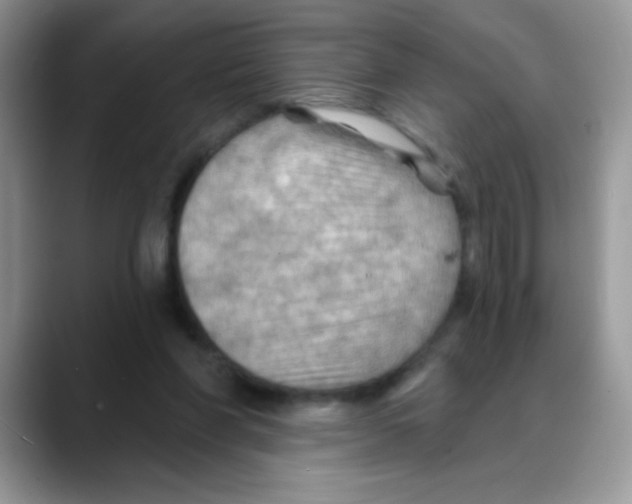 X0000088060206200706081656