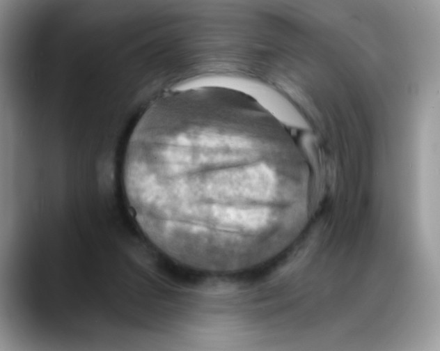 X0000088060207200706081656