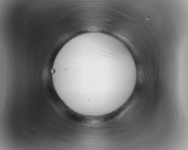 X0000088060208200706081656