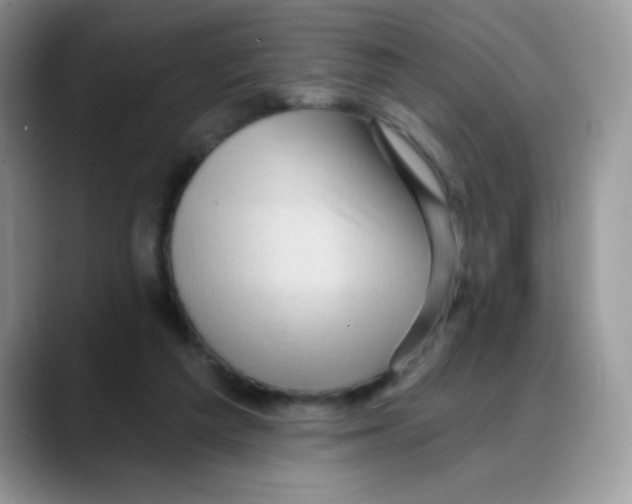 X0000088060209200706081656