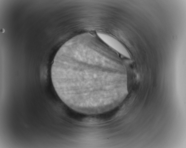 X0000088060211200706081656