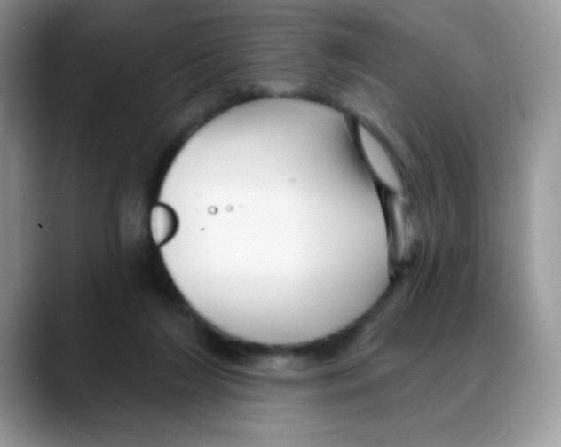 X0000088060212200706081656