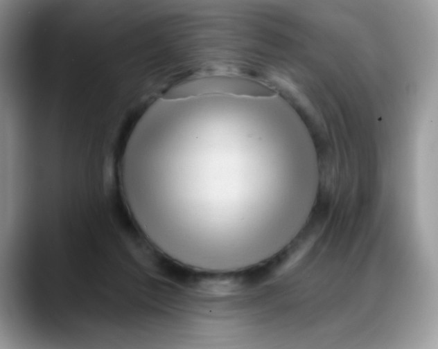 X0000088060213200706081656