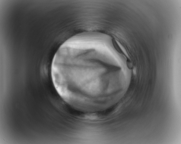 X0000088060214200706081656