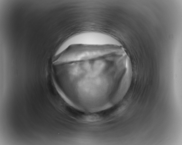 X0000088060215200706081656