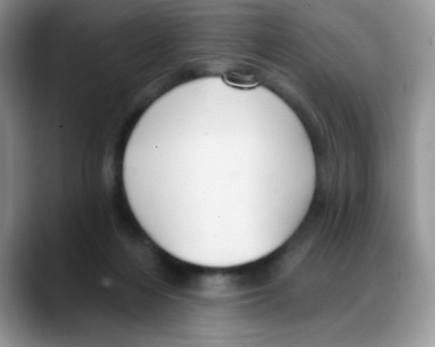 X0000088060216200706081656
