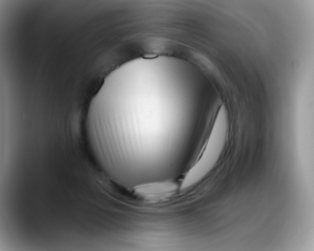 X0000088060217200706081656