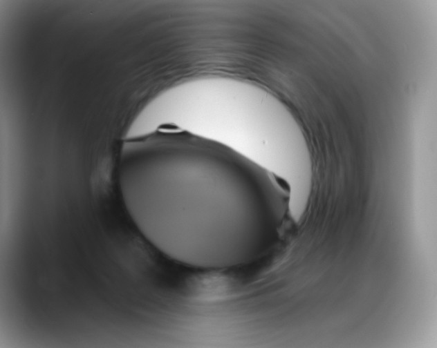 X0000088060219200706081656