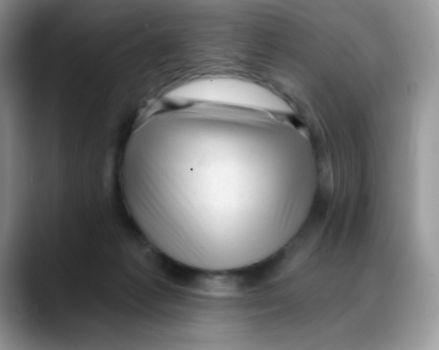 X0000088060221200706081656