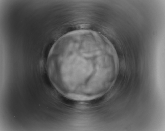 X0000088060222200706081656