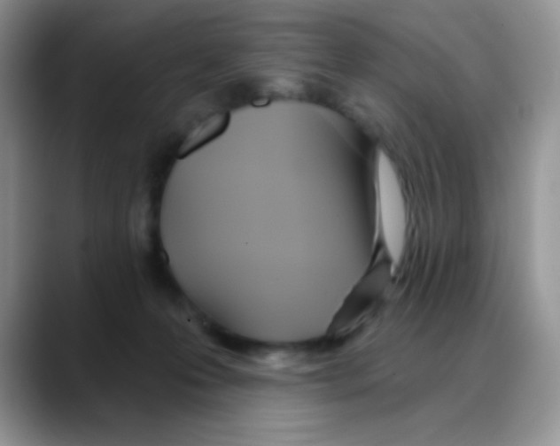 X0000088060223200706081656