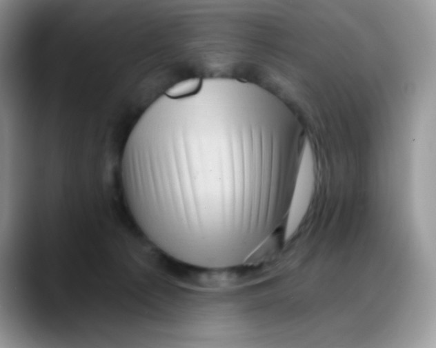 X0000088060225200706081656