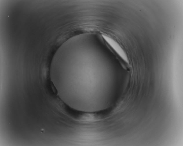 X0000088060227200706081656