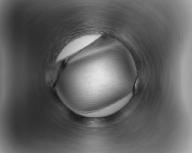 X0000088060229200706081656