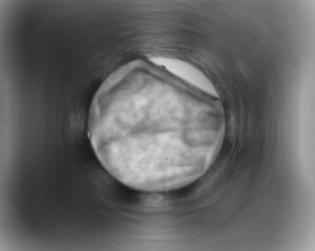 X0000088060230200706081656