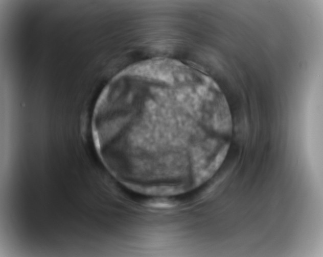 X0000088060231200706081656