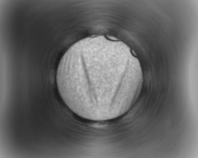 X0000088060232200706081656