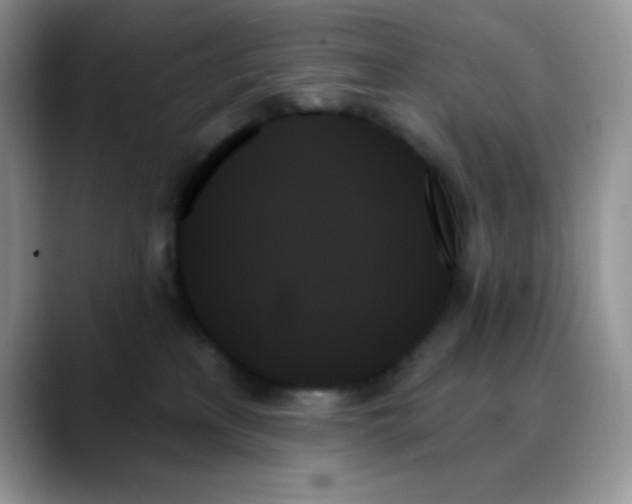 X0000088060233200706081656