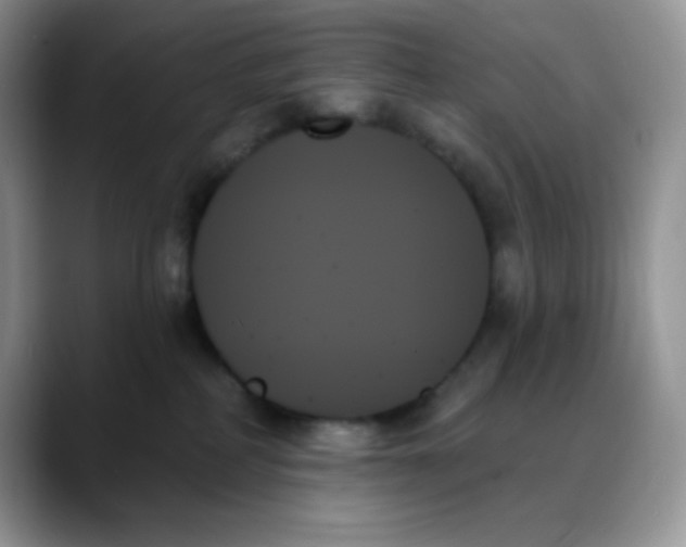 X0000088060234200706081656