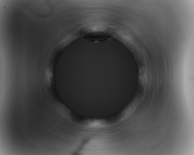X0000088060235200706081656