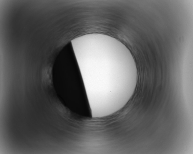 X0000088060237200706081656