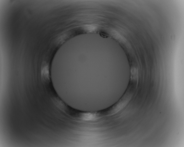 X0000088060238200706081656