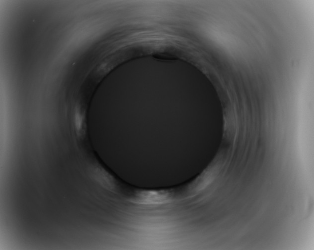 X0000088060239200706081656