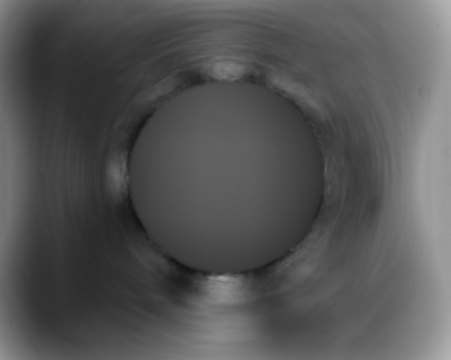 X0000088060240200706081655