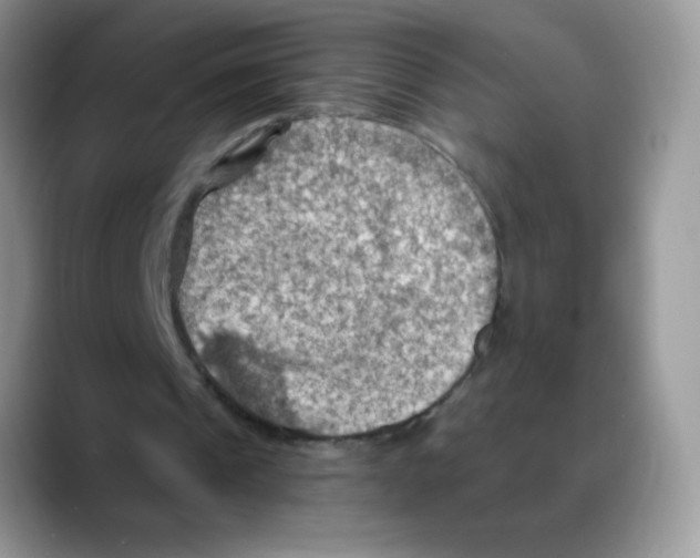 X0000088060241200706081655