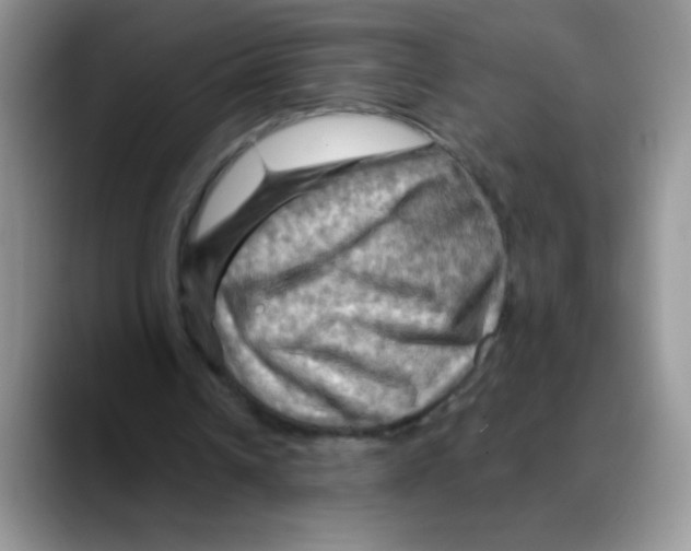 X0000088060242200706081655