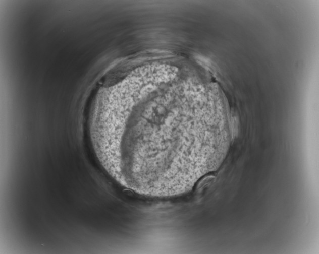 X0000088060243200706081655