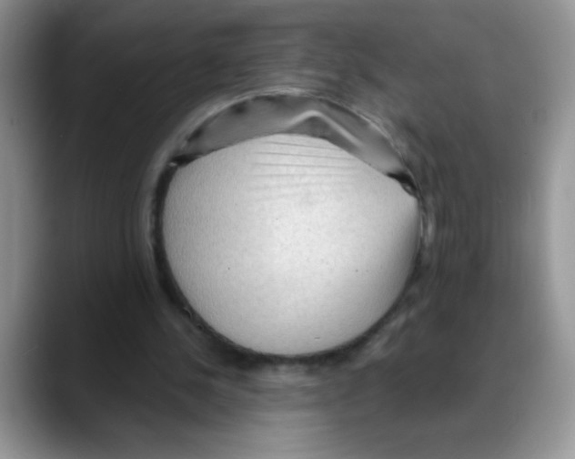 X0000088060244200706081655