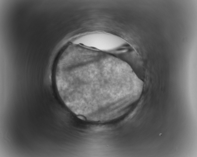 X0000088060246200706081655