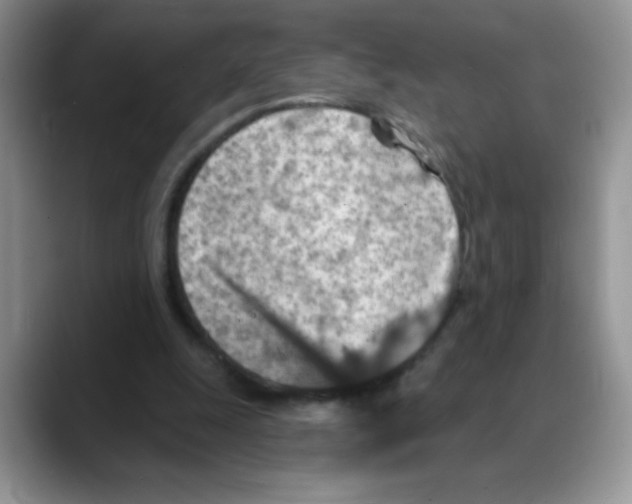 X0000088060247200706081655