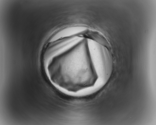 X0000088060248200706081655