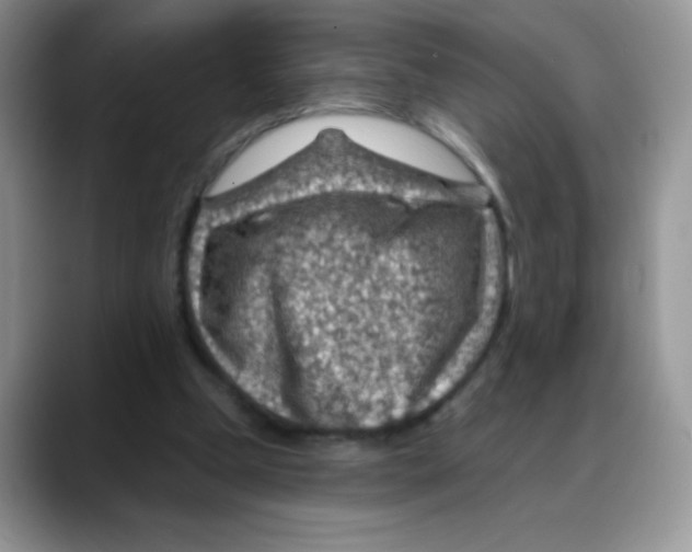 X0000088060249200706081655