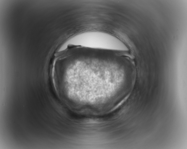 X0000088060250200706081655