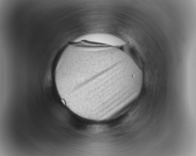 X0000088060251200706081655