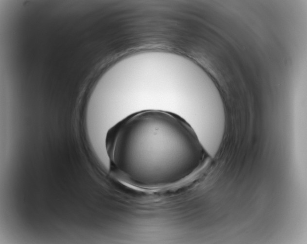 X0000088060252200706081655
