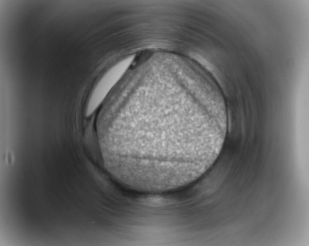 X0000088060253200706081655