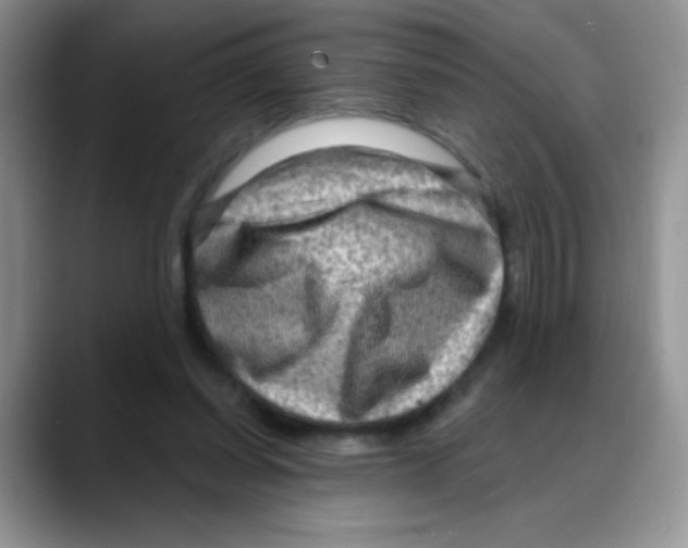 X0000088060254200706081655