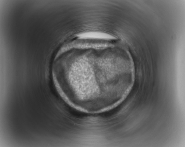 X0000088060255200706081655