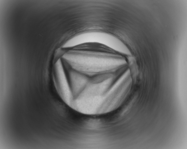 X0000088060256200706081655